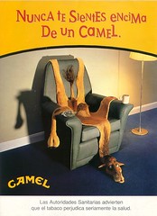 CAMEL-12