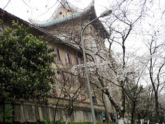 The Cherry Blossom Street and the Dormitory