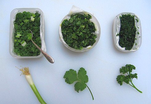 Freezing herbs for quick cooking
