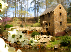 Spring at the Old Mill