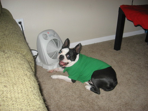 Tanner loves the heater