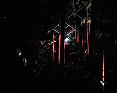 Chihuly at night at Missouri Botanical Gardens
