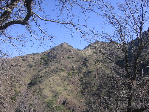 The ridge heading up toward Mount Olympia