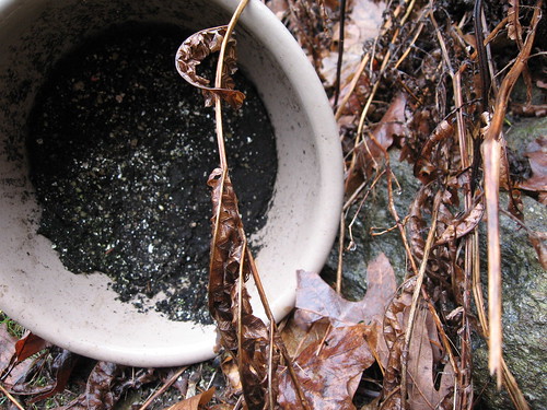 Fallen Pot
