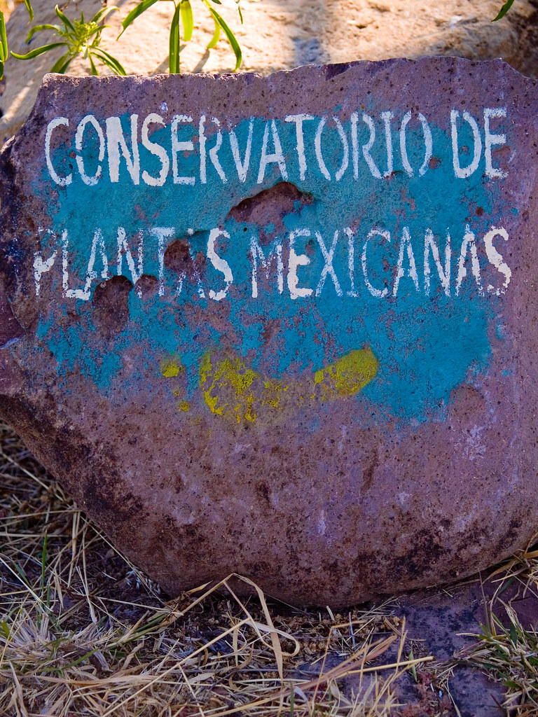 Conservatorio de Plantas Mexicanas