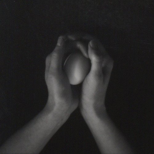 Egg    1.28.07