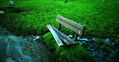 Broken bench in Hampstead Heath - by See Wah