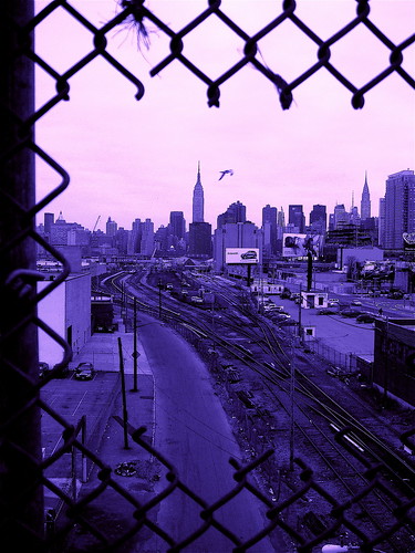 Skyline from QNS (blue)