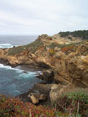 Along the Pacific Coast Highway