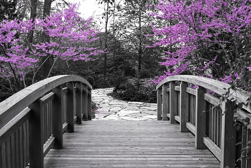 The Bridge to Spring - Part 2