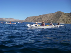 the kayakers on our tour