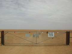 The Dog Fence