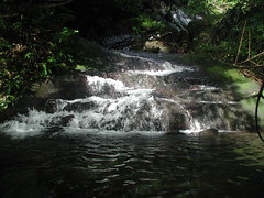 Three Finger Falls, in Jamaica's Blue Mountains