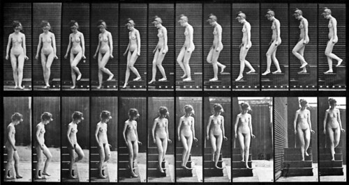 Woman Walking Down the Stairs by Muybridge