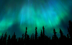 Northern Lights, Yukon, Canada - by Studiolit