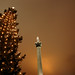 Christmas Tree: December 25th