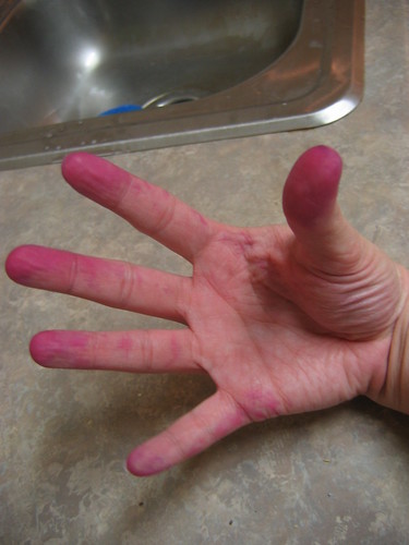 02-02-2007 Purple Hands Right