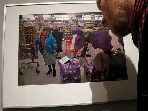 Milka Cow featuring Toby.