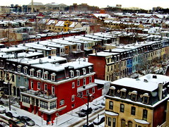city snowscape
