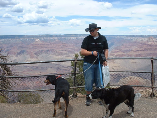 Our Dogs at the Grand Canyon