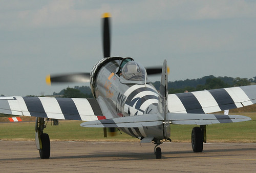 Warbird picture - P-47D