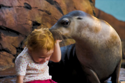 Give Us A Kiss at Underwater World