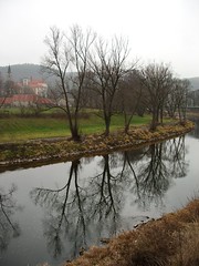 The Sázava River