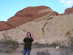 Red Rock Canyon (14)
