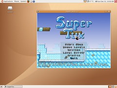 Ubuntu - SuperTux game Screenshot