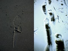 2007-01-21 Footprints Collage
