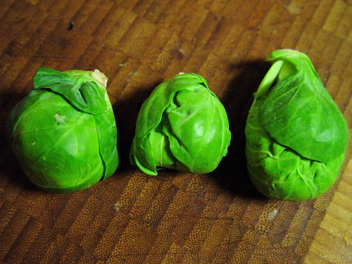 Three Brussels Sprouts, of varying quality