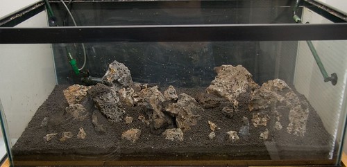 Fill in Hardscape with more Aquasoil