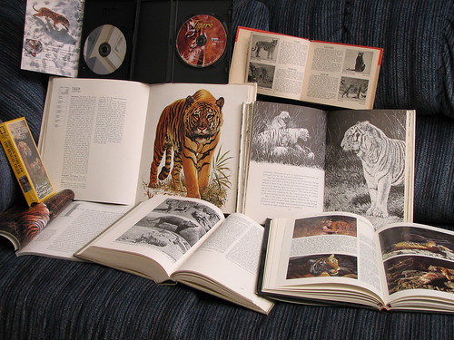 Researching tigers