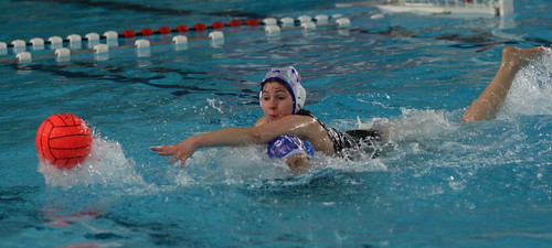 Water Polo : Out of my way !!! ^^