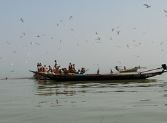 India Odisha - Chilika Lake