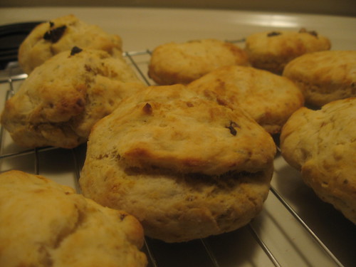 My very first test recipe - pizza biscuits.