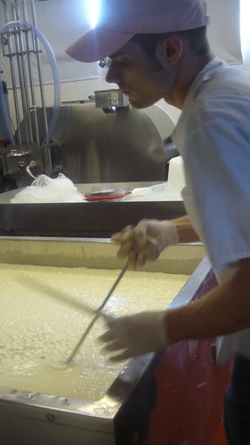 Curd working at Cowgirl Creamery