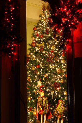 Christmas Tree 2006 - 349F