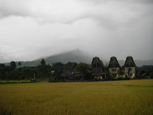 Toraja in the Monsoon