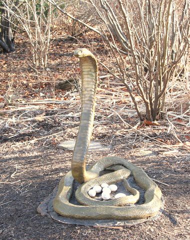 Artificial display of cobra, St Louis Zoo