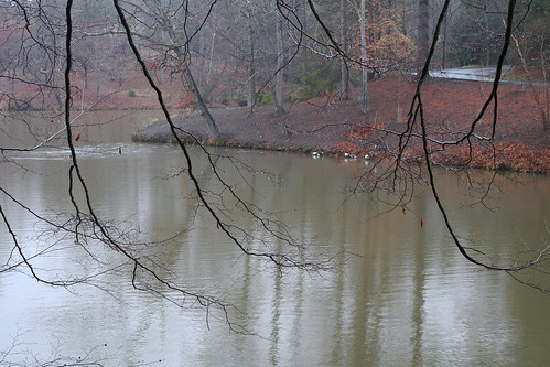 rainy pond #6