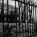 Iron Fence, Augusta, Georgia, 1970s