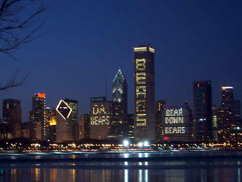 Chicago Skyline in Bear Support