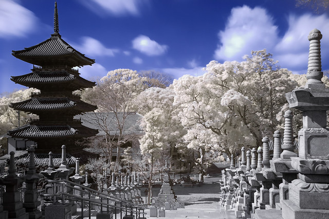 Pagoda dreams (IR)