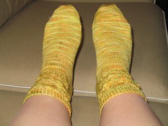 daffodil_socks_1