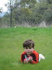 Leelo in the Meadow