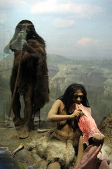 NYC - AMNH: Spitzer Hall of Human Origins - Ne...