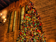 Tribune Tower Christmas tree