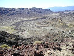 Lava flow towards Oturere Hut