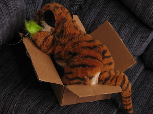 Tiger in Box
